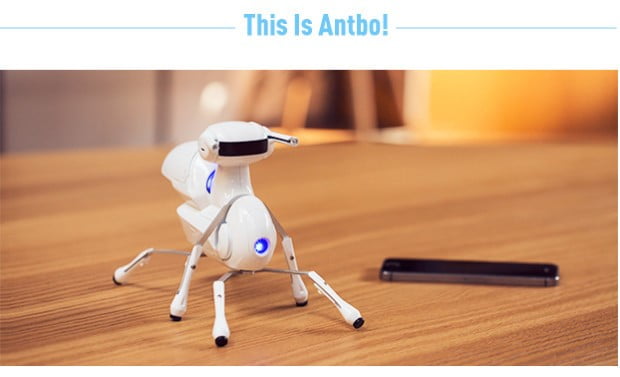 Image du robot Antbo